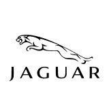 Компьютерная диагностика Jaguar, тестирование и обслуживание Ягуара