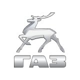 Компьютерная диагностика GAZ, тестирование и обслуживание ГАЗа