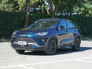 Полная компьютерная диагностика Хавал Х6С